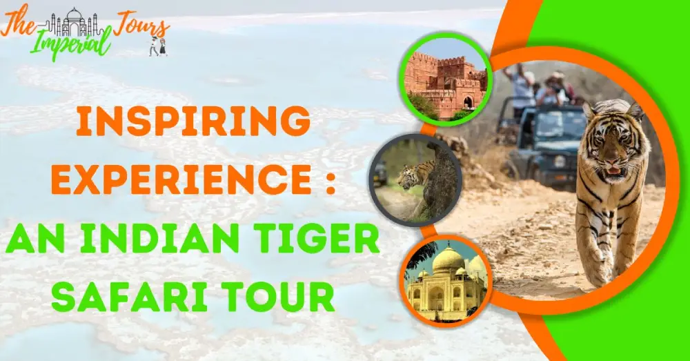 Inspiring Experience An Indian Tiger Safari Tour