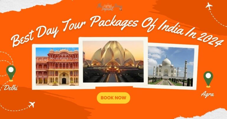 Read more about the article Best Day Tour Packages Of India In 2024