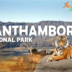 Information About Ranthambore National Park Sawai Madhopur Rajasthan