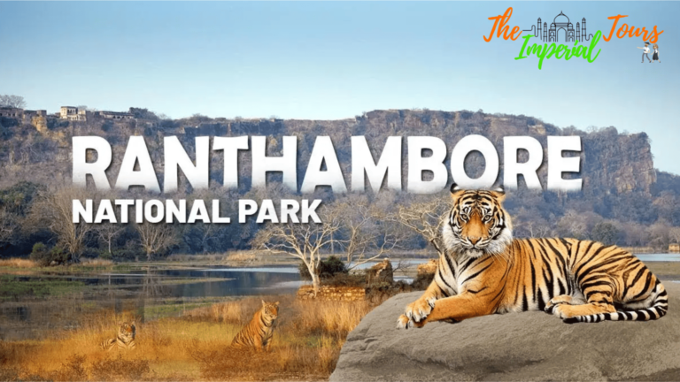 Read more about the article Information About Ranthambore National Park Sawai Madhopur Rajasthan