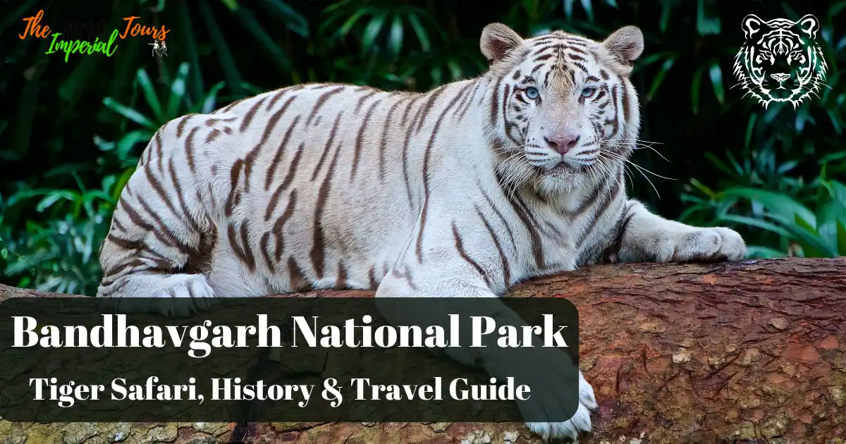 You are currently viewing Bandhavgarh National Park – Tiger Safari, History & Travel Guide